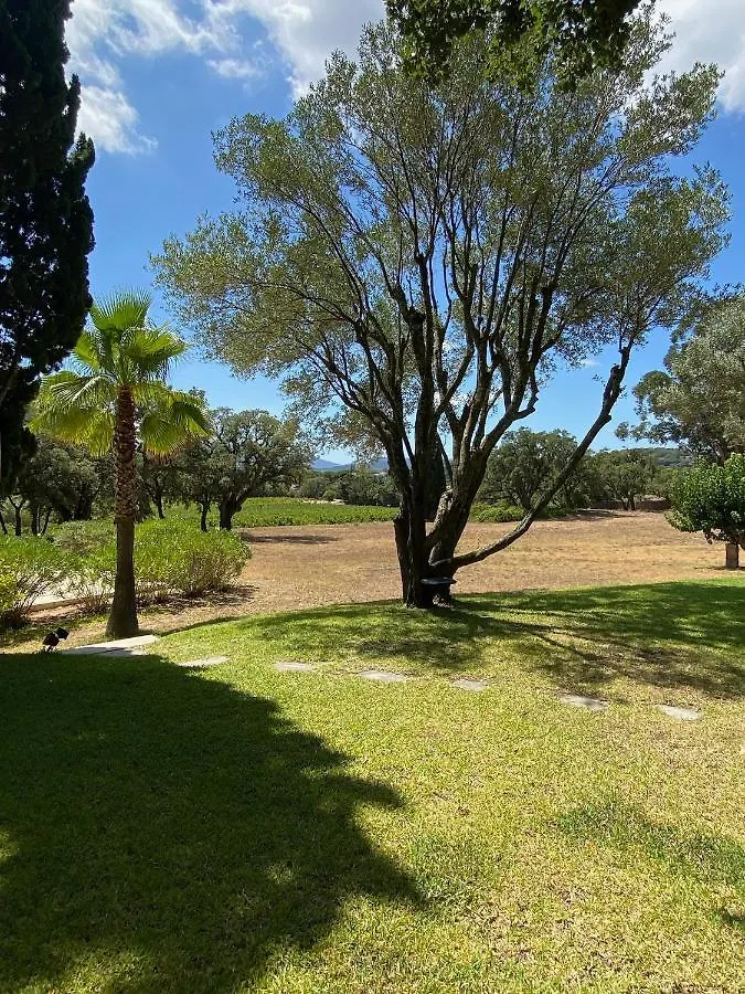 Villa Provencale Familiale Avec Piscine グリモー