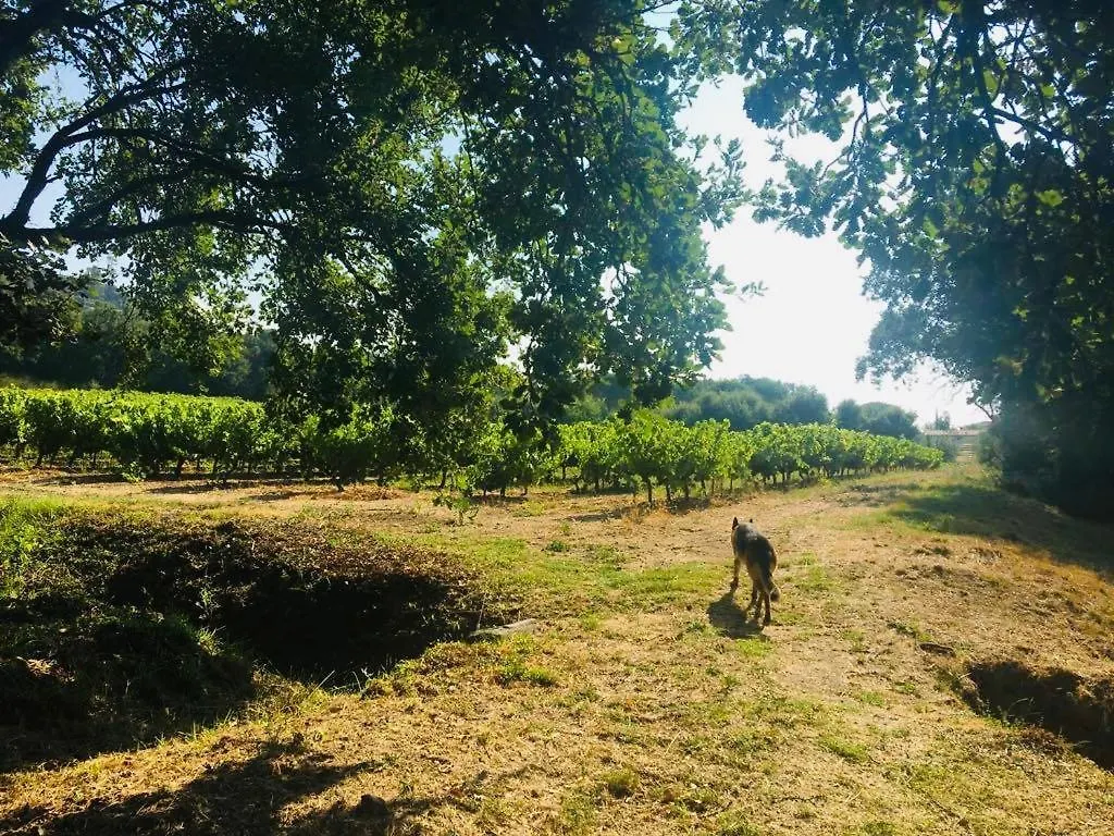 Villa Provencale Familiale Avec Piscine グリモー