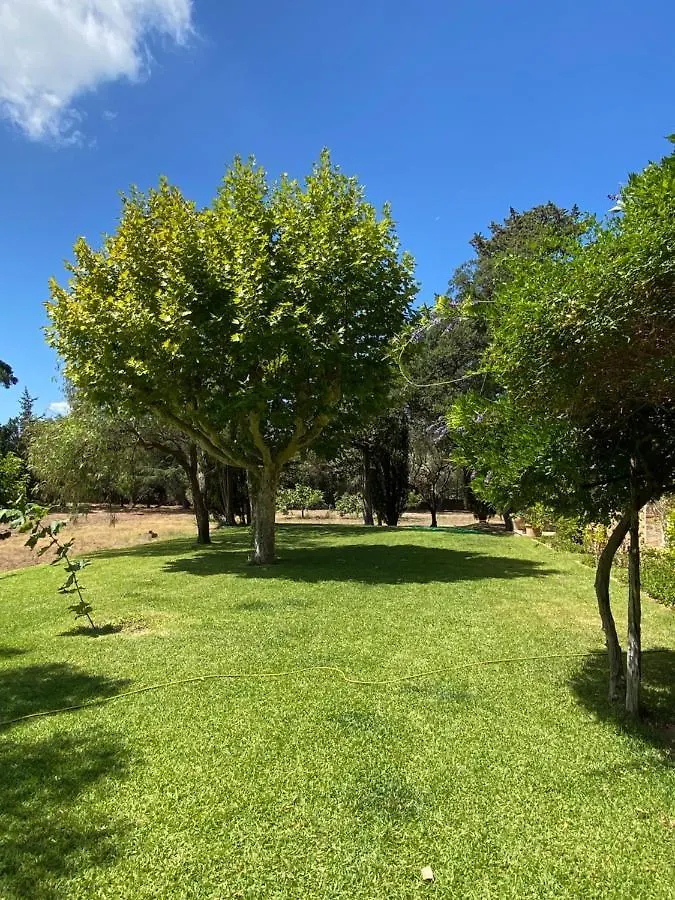 Villa Provencale Familiale Avec Piscine グリモー